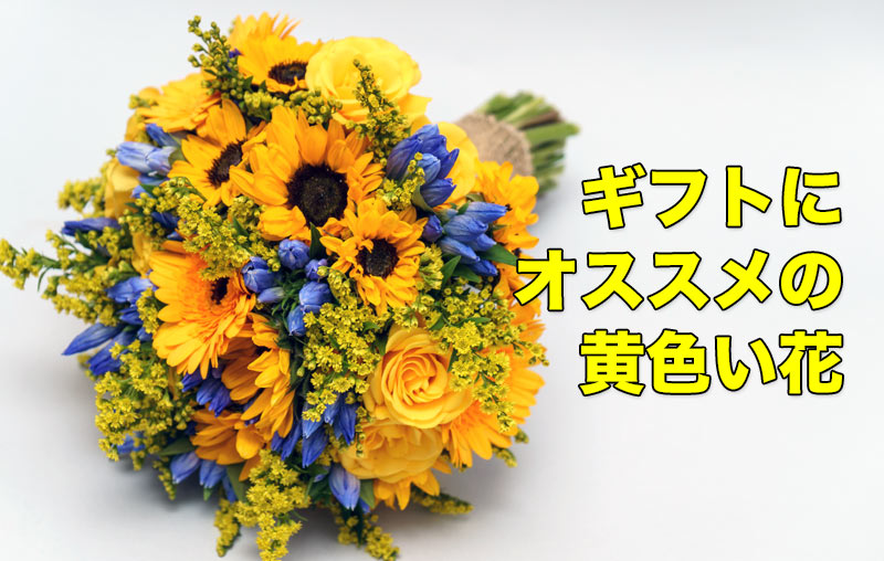 黄色い花のイメージ