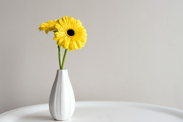 花瓶に挿した黄色いガーベラ